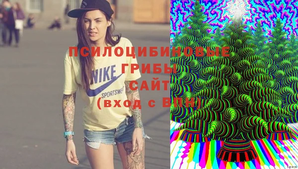 гашиш Аркадак