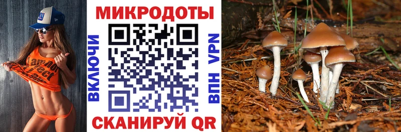 Купить  Уварово  Галлюциногенные грибы MAGIC MUSHROOMS 